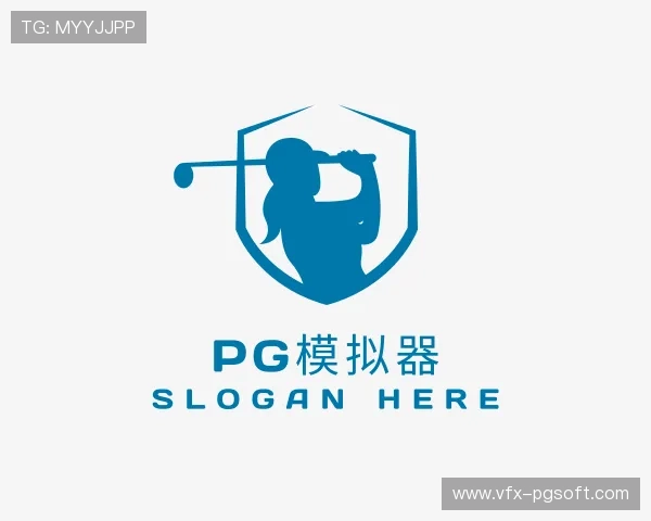 认识pg模拟器